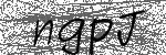 image code