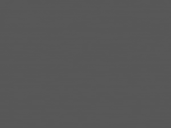 Madagaskar 061 (zatemňujúca) - tmavosivá