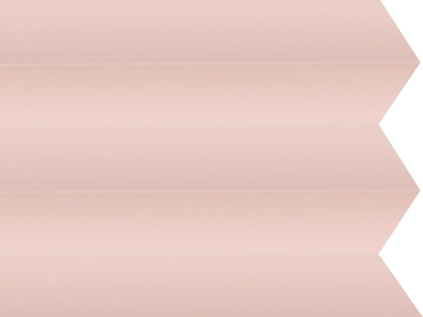 BO 11241 - Lovely rose