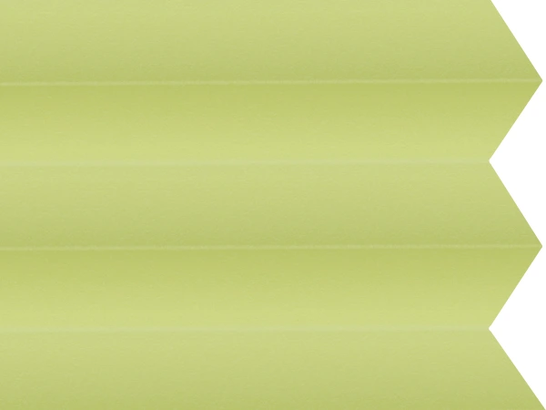 BO 11193 - Fresh lime