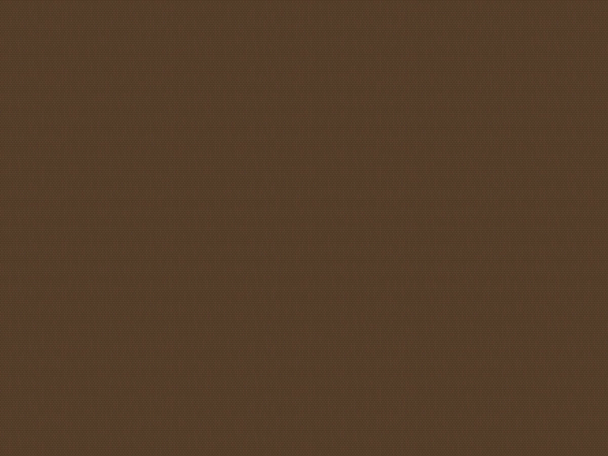 Madagaskar 066 (zatemňujúca) - tmavo hnedá